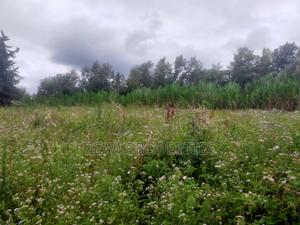 1/4 Acre Matasia Ngong - thumbnail 2