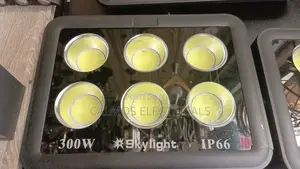 300watts Floodlights COB