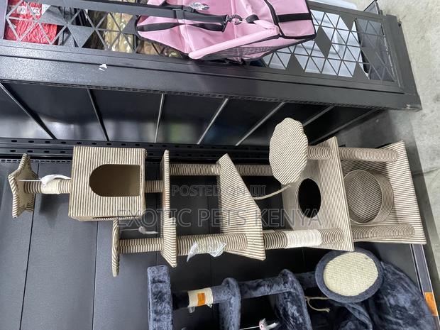 Luxury Cats Scratch Post - main view