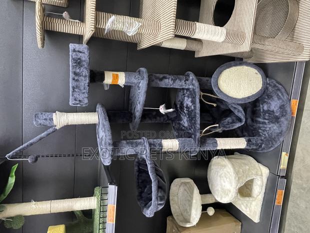 Blue Scratch Post - main view