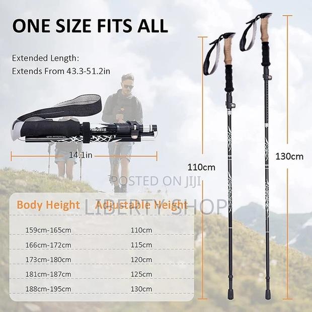 Trekking Pole/Hiking Sticks - main view