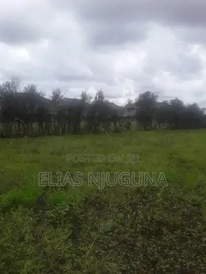 Kamakis 5plots for Sale.