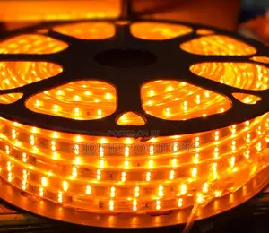 Snake Light