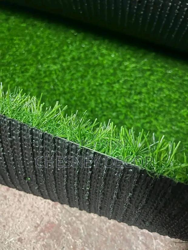 Grass Carpet Grass Carpet Grass Carpet Grass Carpet - main view