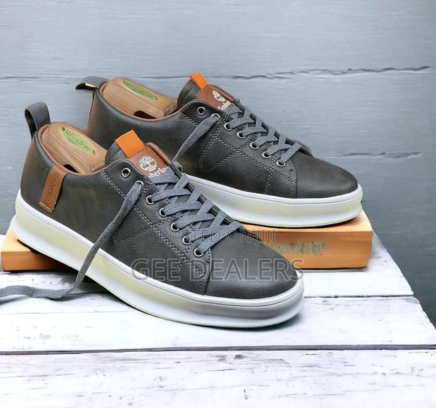 Timberland Casual Shoes >Casual Sneakers