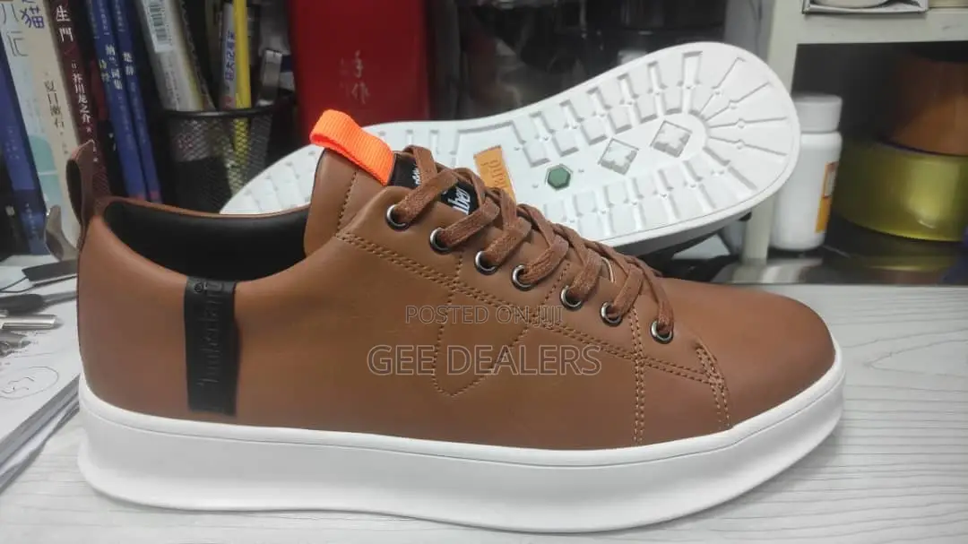 Timberland Casual Shoes >Casual Sneakers