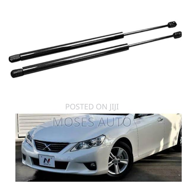 Mark X Bonnet Shocks - main view