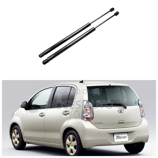 Passo Boot Shocks