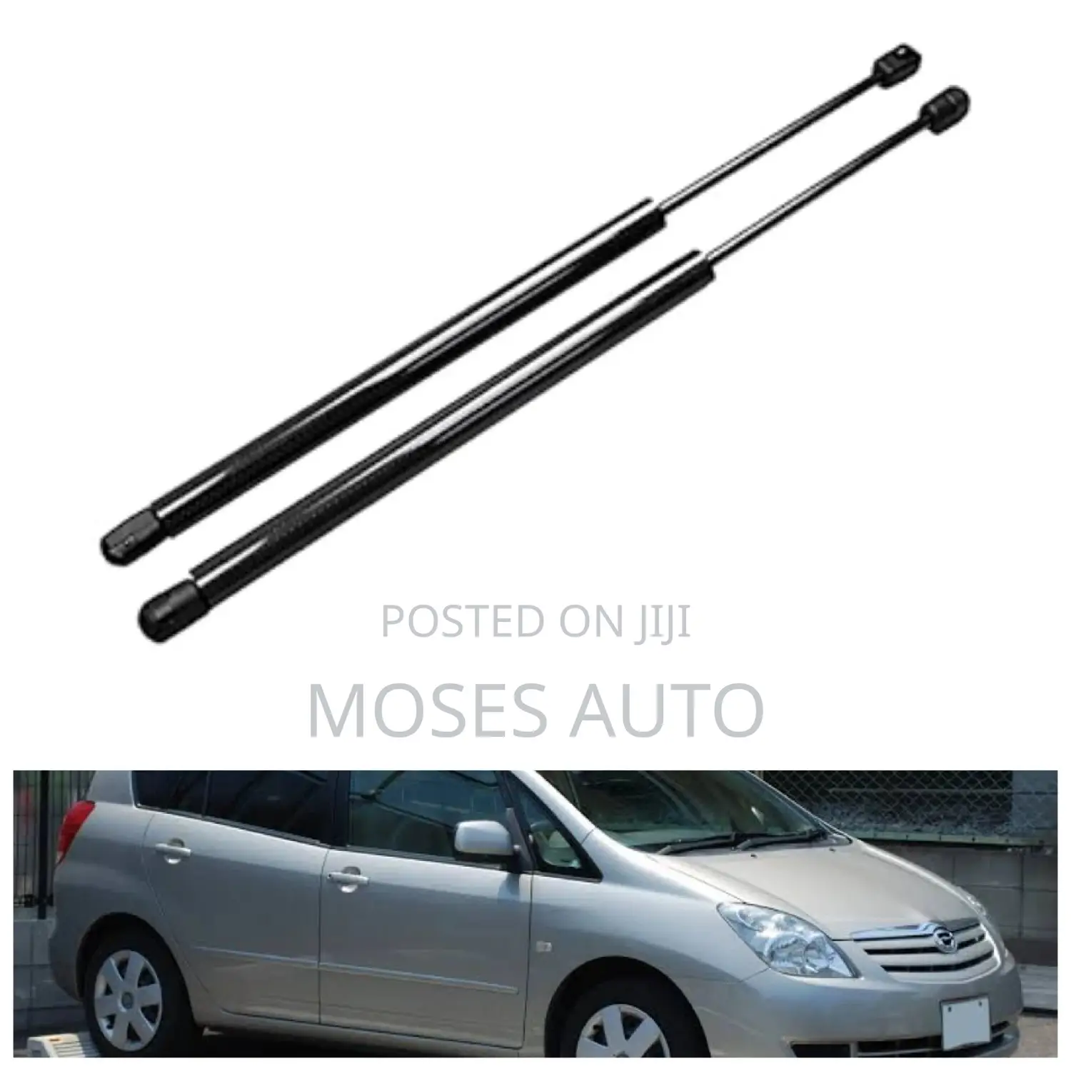 Toyota Spacio Boot Shocks