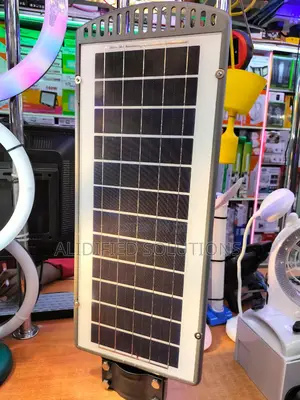 100w Twiga Streetlight