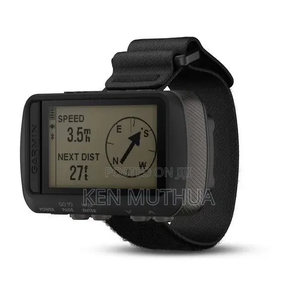 Garmin Foretrex 601