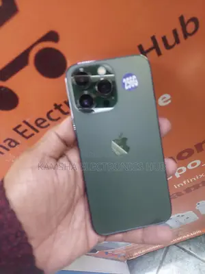 Apple iPhone 13 Pro 256 GB Gray