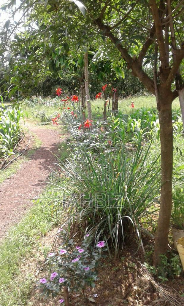Prime Property at Kiahuria With a Freehold Title