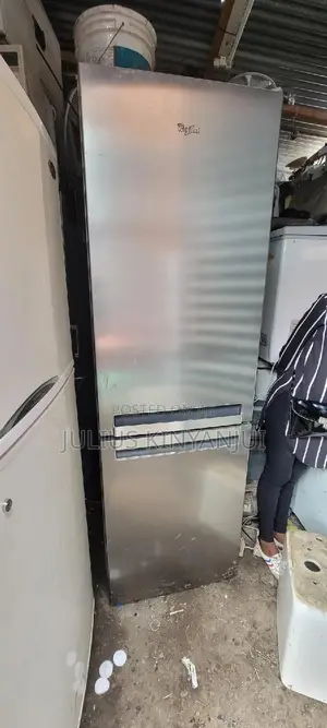 Bottom Freezer Fridge