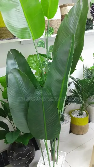 Banana Plant Available Artificial