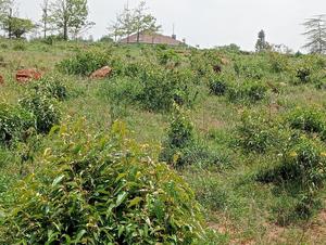 1/4 Residential Plot for Sale in Nazarene Ongata Rongai.