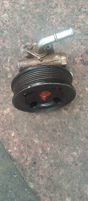 Ford Ranger Cartilage