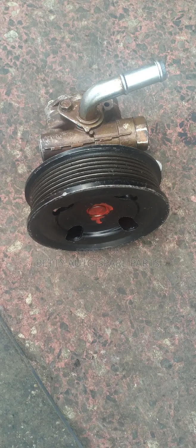 Ford Ranger Cartilage