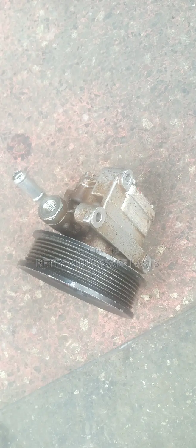 Ford Ranger Cartilage