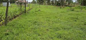 Plot for Sale Outspan Eldoret 60 Metres From Highway - thumbnail 2