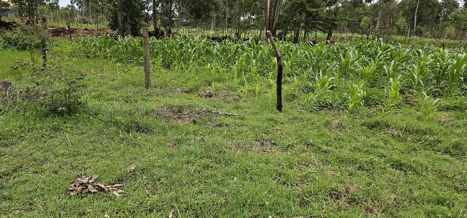 Plot for Sale Outspan Eldoret 60 Metres From Highway