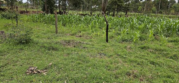 Plot for Sale Outspan Eldoret 60 Metres From Highway - thumbnail 4