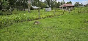 Plot for Sale Outspan Eldoret 60 Metres From Highway
