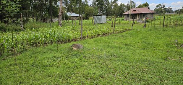 Plot for Sale Outspan Eldoret 60 Metres From Highway - thumbnail 6