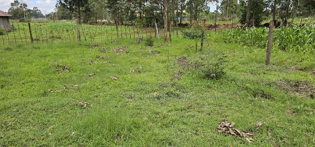 Plot for Sale Outspan Eldoret 60 Metres From Highway - thumbnail 8