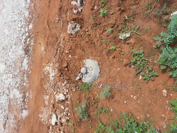 Bofa Gardens - thumbnail 4