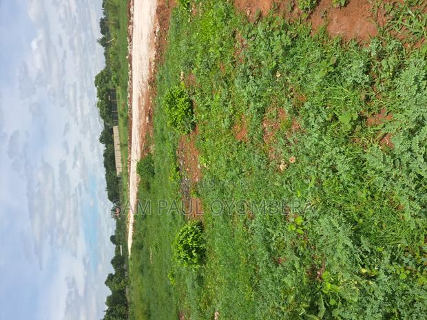 Bofa Gardens - thumbnail 6