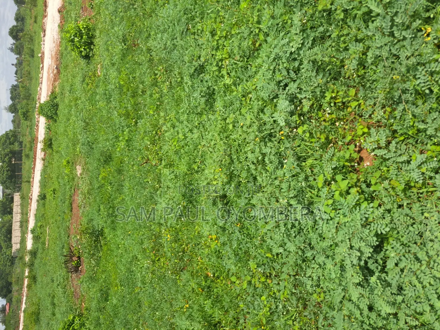 Bofa Gardens