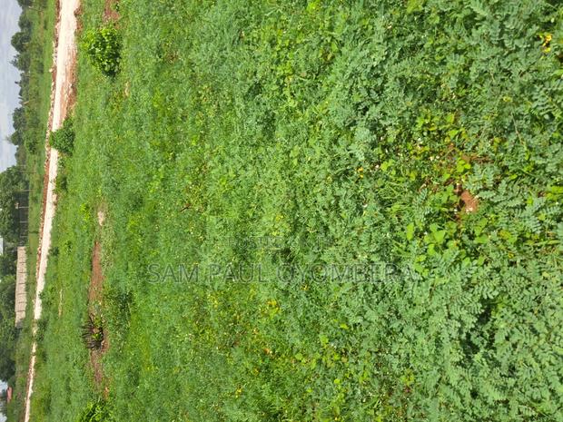 Bofa Gardens - thumbnail 7