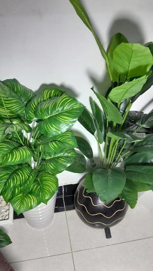 Artificial Plants With Vases (Calabash or Plastic) - thumbnail 2