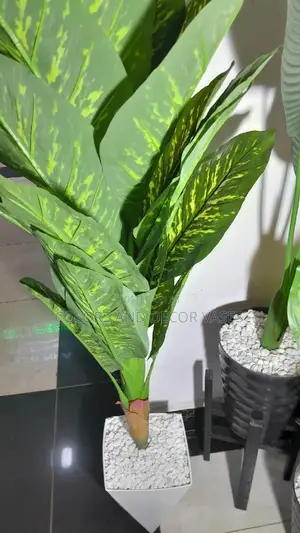 1.6m Long Artificial Plant, Vase Plus Stones