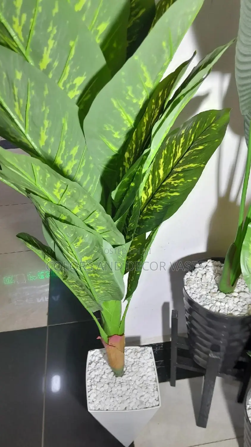 1.6m Long Artificial Plant, Vase Plus Stones