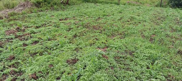 Prime Affordable 50x100 Plot in Karai - Lusigetti - thumbnail 4