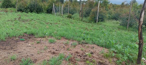 Prime Affordable 50x100 Plot in Karai - Lusigetti - thumbnail 5