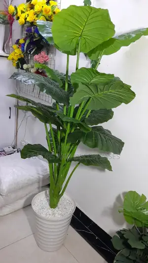 1.6m Long Artificial Plant With Plastic Vase and Stones