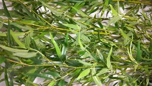 Bamboo Sticks Artificial Available