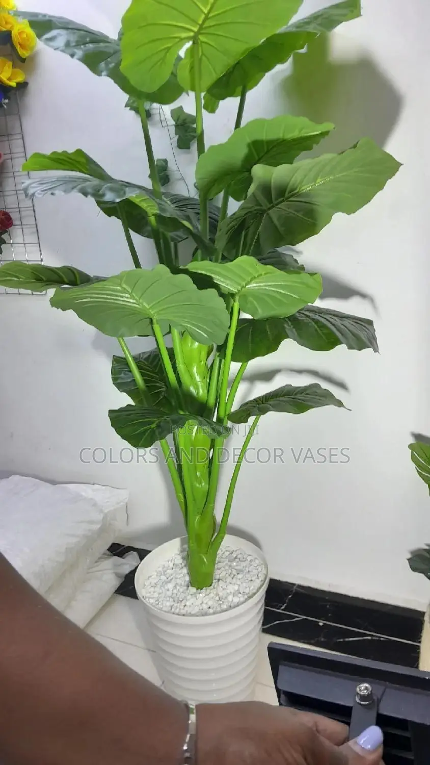 1.6m Plant and Vase KSH 7000