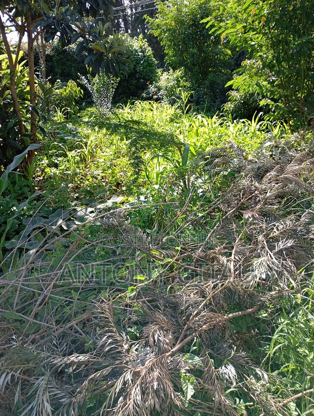 1/4 Plot Available Few Meters Off Bypass to Kikuyu Town - main view