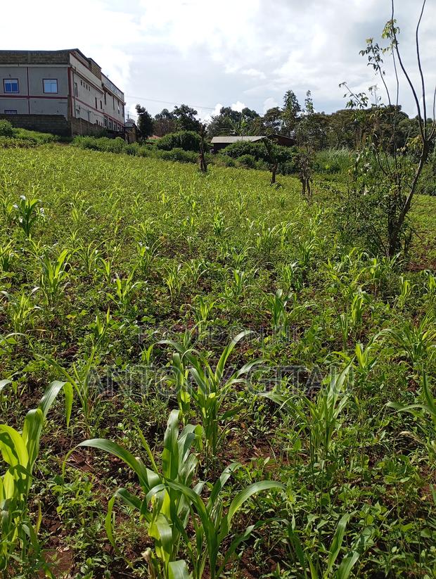 1/4 Plot Available Few Meters Off Bypass to Kikuyu Town - thumbnail 3