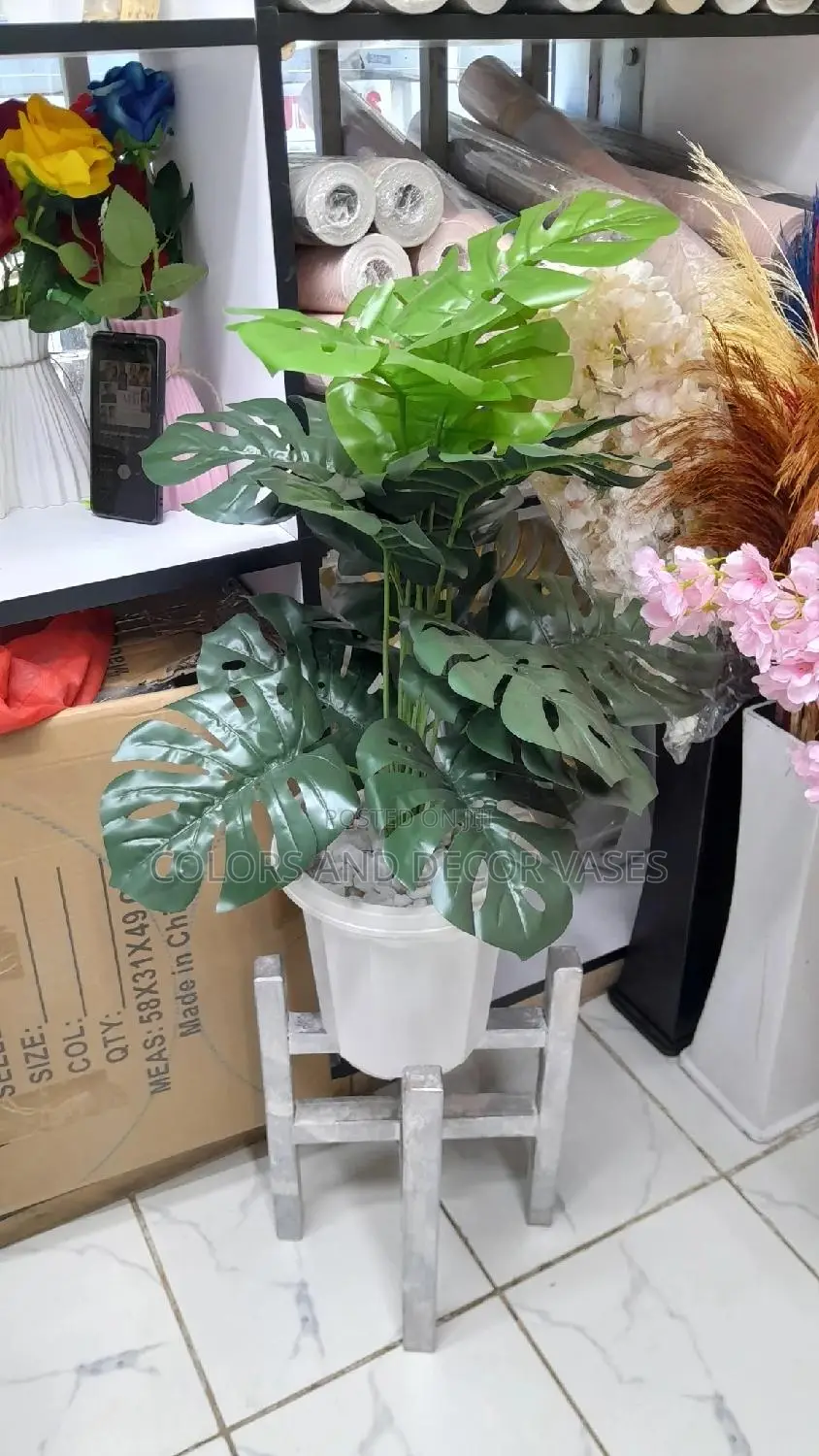 Monstera Plant, Plastic Vase With Pebble Stones