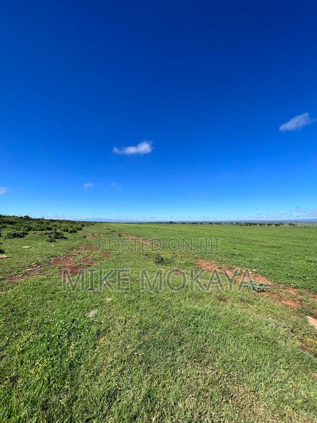 Land for Sale - thumbnail 4