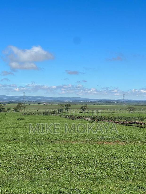 Land for Sale - thumbnail 5