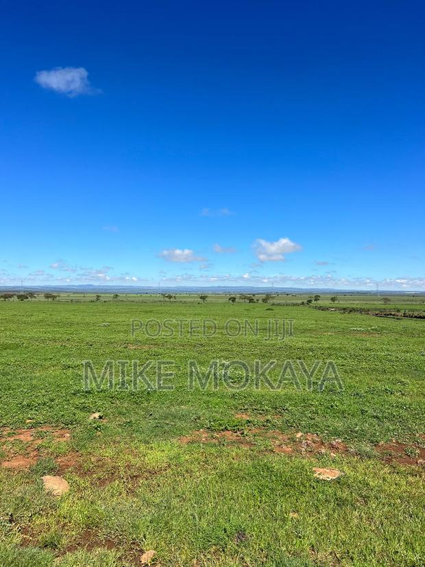 Land for Sale - thumbnail 6