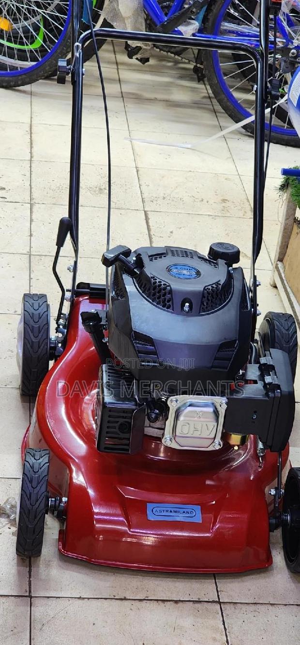 Petrol Lawnmower