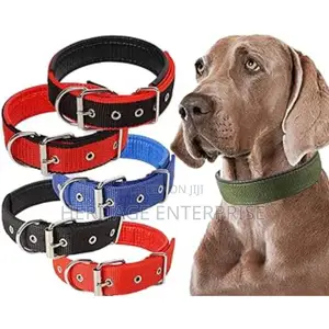 Dog Collar+Dog Collar+Dog Collar