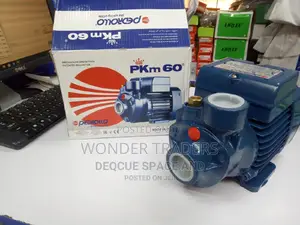 Pedroll Water Pump PKM 60